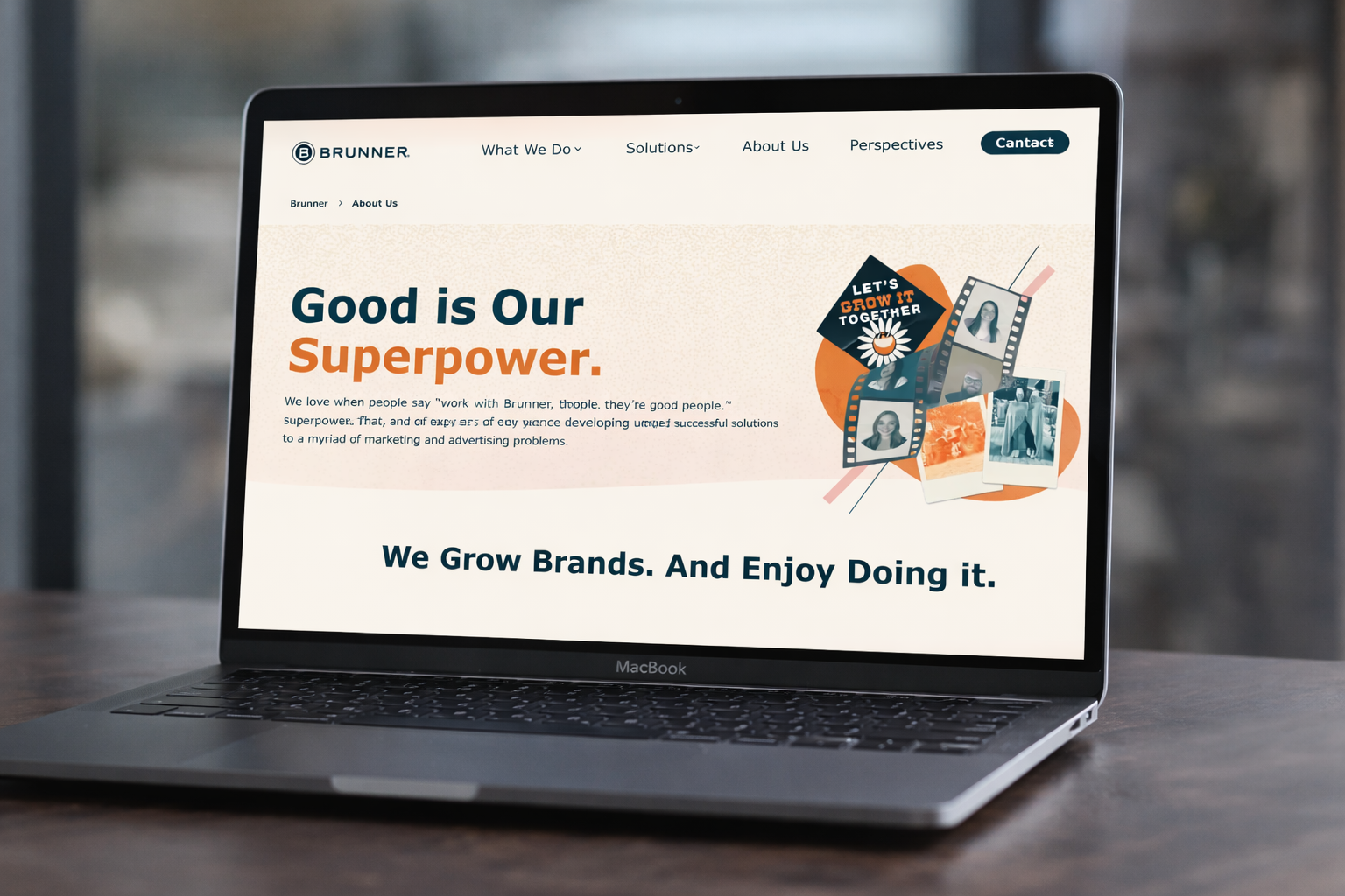 Brunner website preview